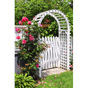 White arbor with red blooming roses in a garden | © ©Elenathewise - stock.adobe.com