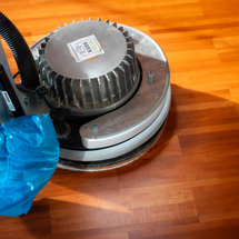 © ADLER | David Brandacher